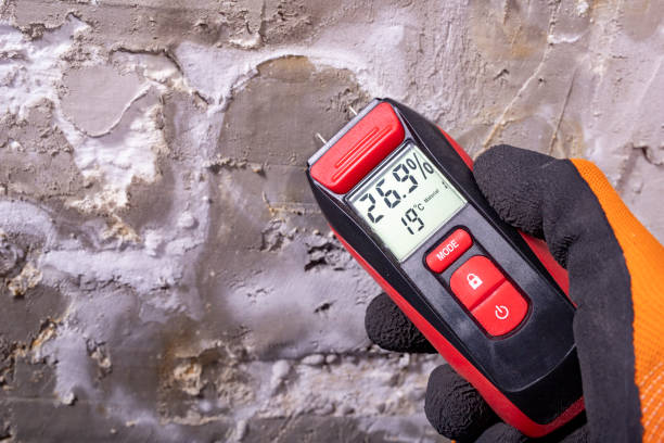 Best Crawl Space Mold Removal  in Beaverton, OR