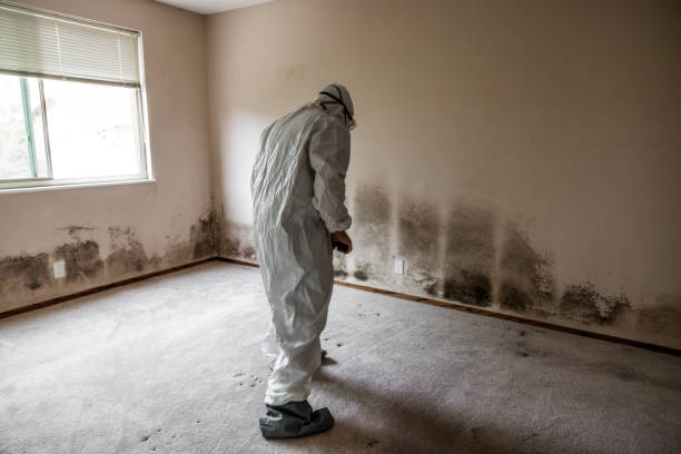 Beaverton, OR Mold Removal Company
